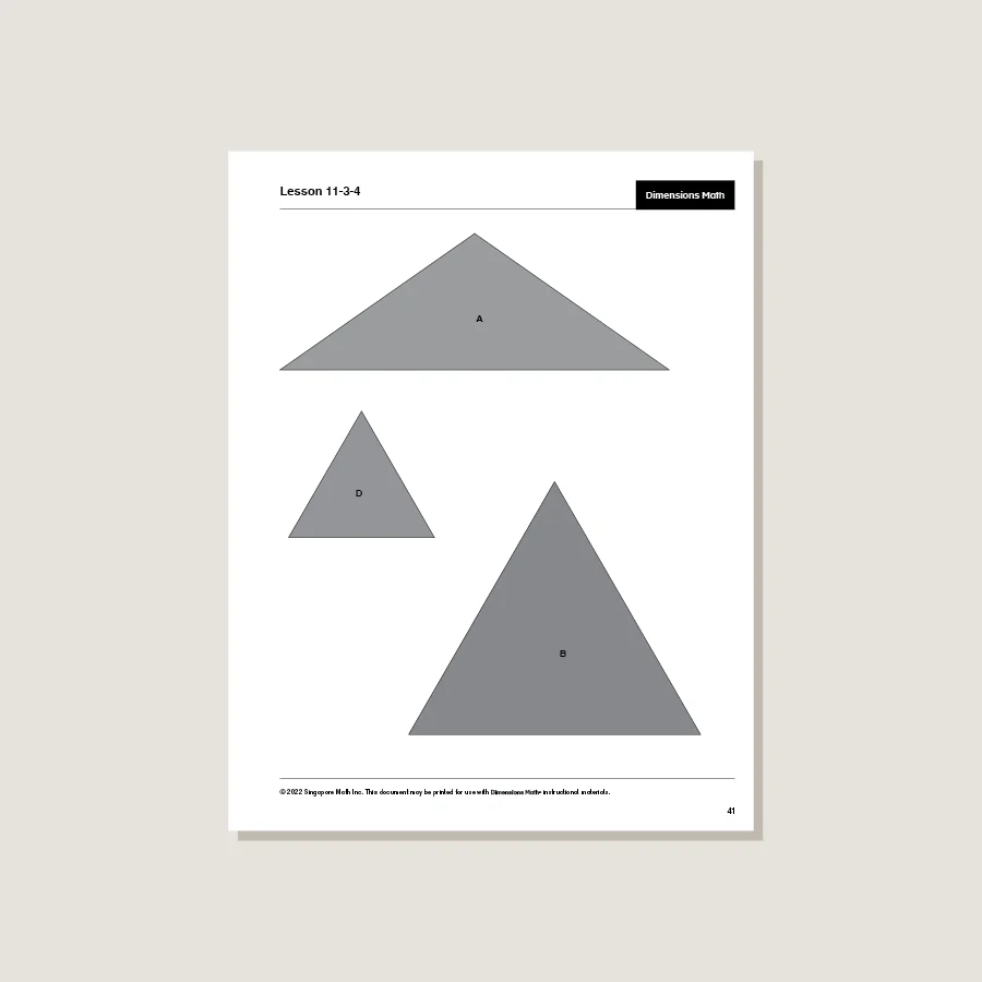 Dimensions Math Home Instructor's Printouts 5B - Blemished - Image 2